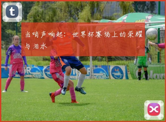 当哨声响起：世界杯赛场上的荣耀与泪水